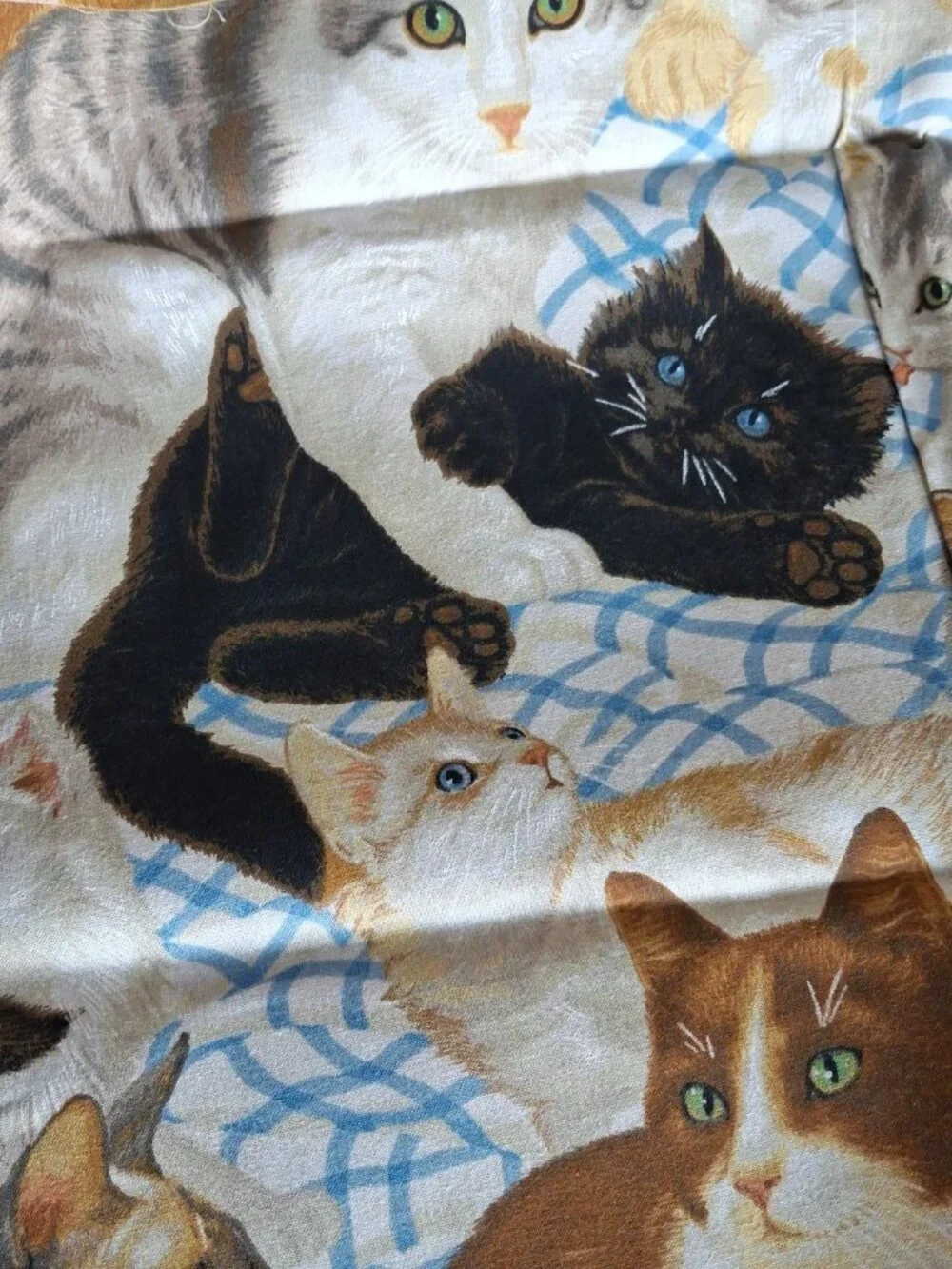 Daisy Kingdom Cotton Fabric #1872 Cats Meow Allover  1 yard x 44